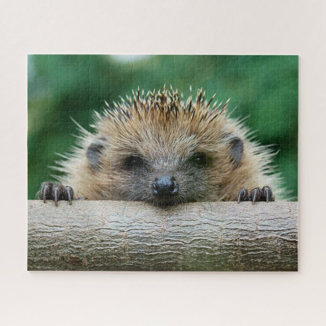 Niedliche Kleintiere | Igel Lächeln Puzzle (Horizontal)
