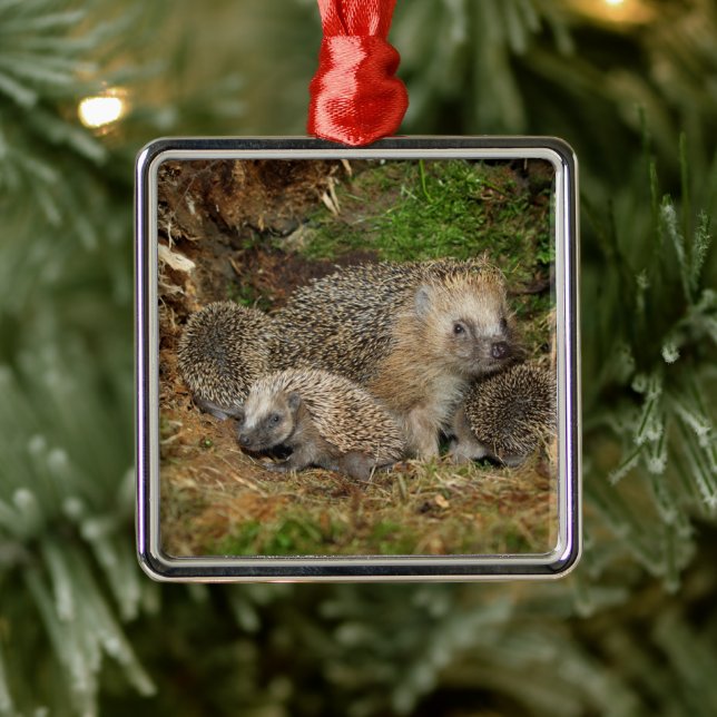 Niedliche Kleintiere | IGEL Ornament Aus Metall (Baum)