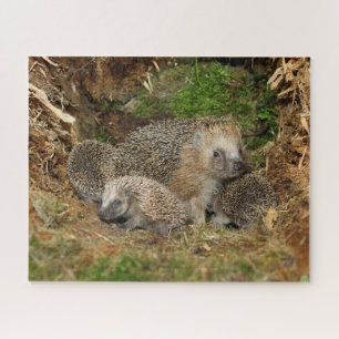 Niedliche Kleintiere   IGEL Puzzle