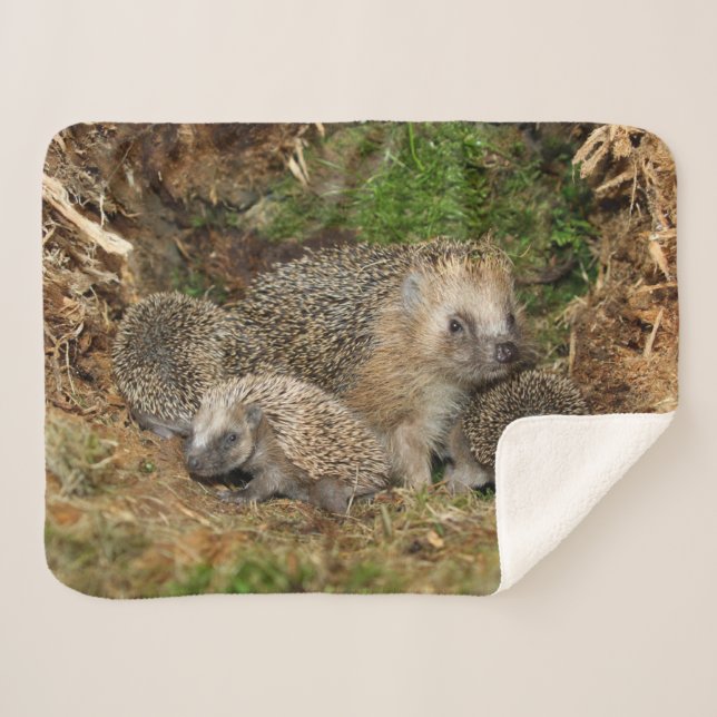 Niedliche Kleintiere | IGEL Sherpadecke (Vorderseite (Horizontal))