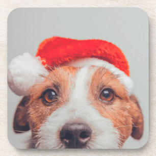 Niedliche Kleintiere Jack Russell Dog Santa Clau Getränkeuntersetzer