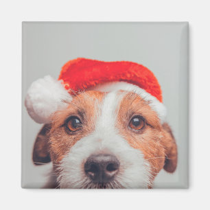 Niedliche Kleintiere   Jack Russell Dog Santa Clau Magnet