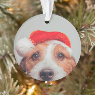 Niedliche Kleintiere   Jack Russell Dog Santa Clau Ornament