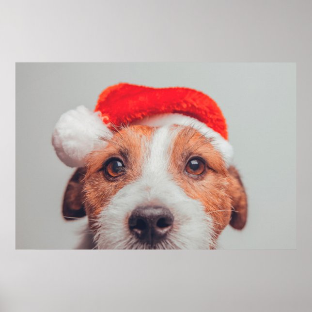 Niedliche Kleintiere | Jack Russell Dog Santa Clau Poster (Vorne)