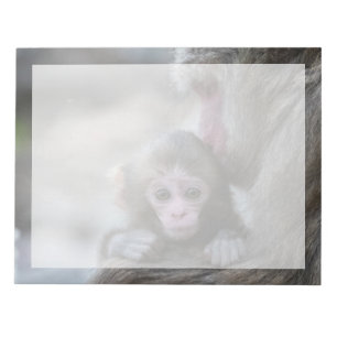 Niedliche Kleintiere Japanischer Affe & Baby Notizblock