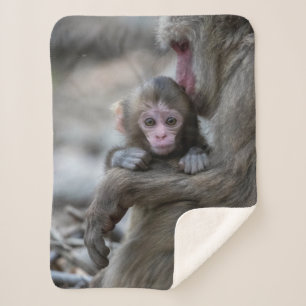 Niedliche Kleintiere Japanischer Affe & Baby Sherpadecke