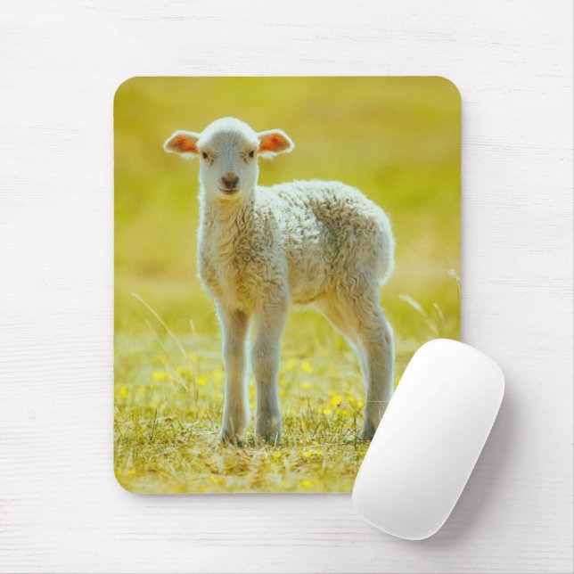 Niedliche Kleintiere | Jungschaf Mousepad (Mit Mouse)