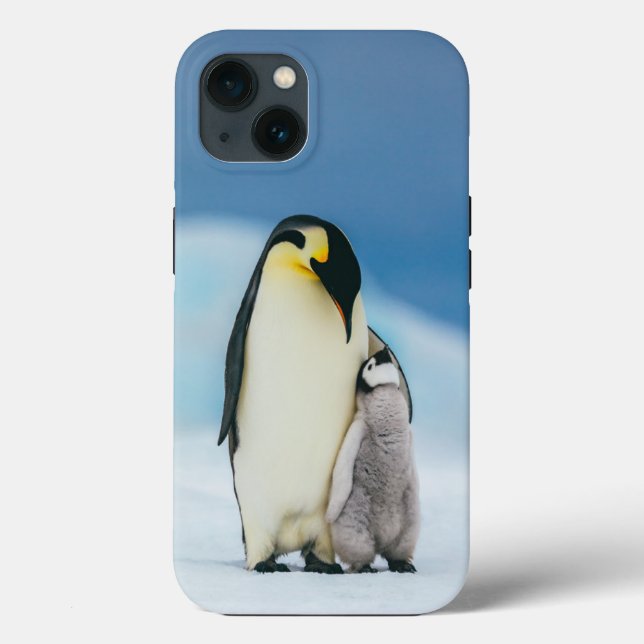 Niedliche Kleintiere | Kaiser Penguin Chick Case-Mate iPhone Hülle (Rückseite)