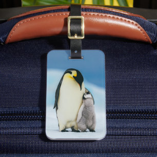 Niedliche Kleintiere   Kaiser Penguin Chick Gepäckanhänger