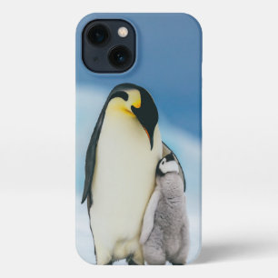 Niedliche Kleintiere   Kaiser Penguin Chick iPhone 13 Hülle