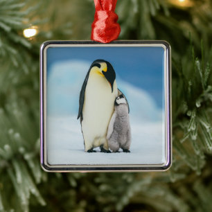Niedliche Kleintiere Kaiser Penguin Chick Ornament Aus Metall