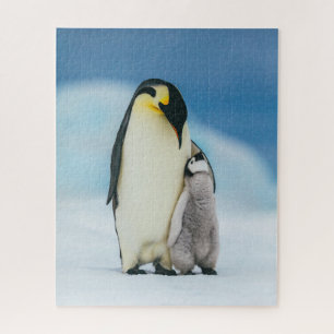 Niedliche Kleintiere   Kaiser Penguin Chick Puzzle