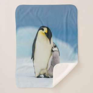 Niedliche Kleintiere   Kaiser Penguin Chick Sherpadecke