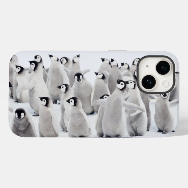 Niedliche Kleintiere | Kaiser Penguin Chicks Case-Mate iPhone Hülle (Rückseite (Horizontal))