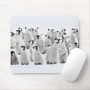 Niedliche Kleintiere Kaiser Penguin Chicks Mousepad