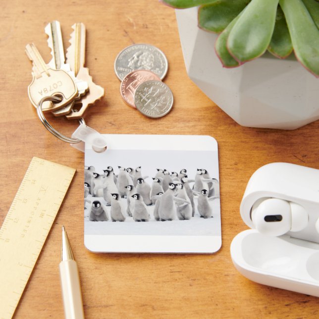 Niedliche Kleintiere | Kaiser Penguin Chicks Schlüsselanhänger (Schreibtisch)