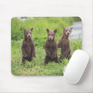 Niedliche Kleintiere   Kamchatka Brown Bear Cubs Mousepad