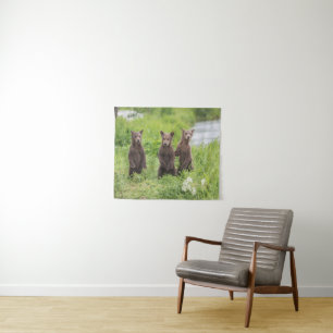 Niedliche Kleintiere   Kamchatka Brown Bear Cubs Wandteppich