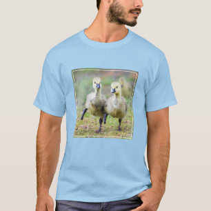 Niedliche Kleintiere Kanadische Gänse T-Shirt