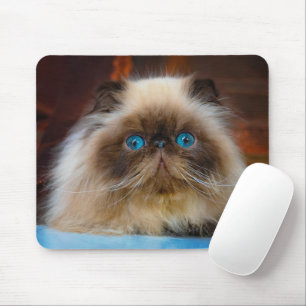 Niedliche Kleintiere Kat Mousepad