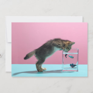 Niedliche Kleintiere Kätzchen Blick auf Fischsch Dankeskarte