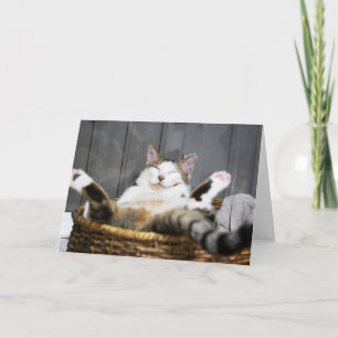 Niedliche Kleintiere   Katze im Bett Karte