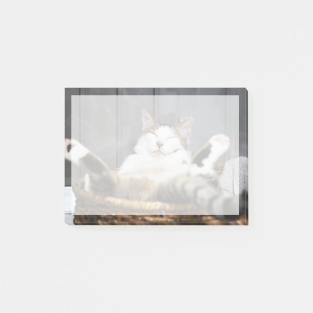 Niedliche Kleintiere | Katze im Bett Post-it Klebezettel (Vorderseite)