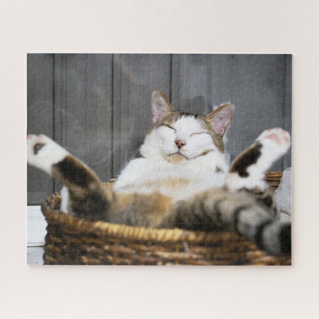 Niedliche Kleintiere | Katze im Bett Puzzle (Horizontal)