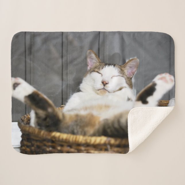 Niedliche Kleintiere | Katze im Bett Sherpadecke (Vorderseite (Horizontal))
