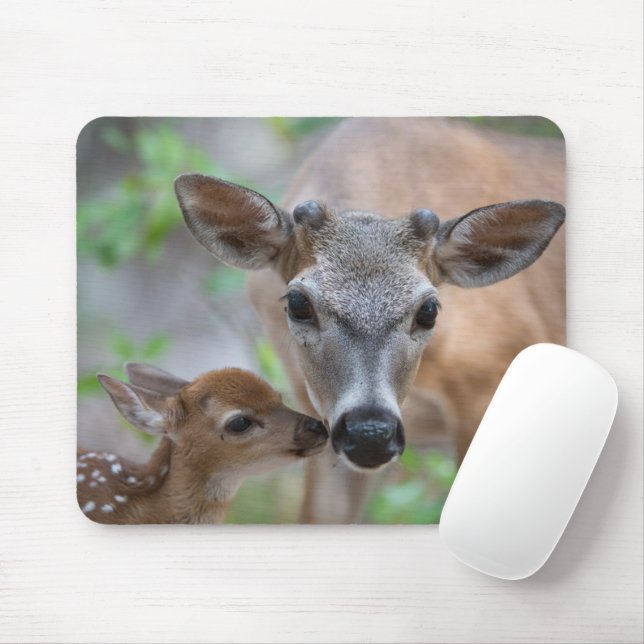 Niedliche Kleintiere | Key Deer Stag & Fawn Mousepad (Mit Mouse)
