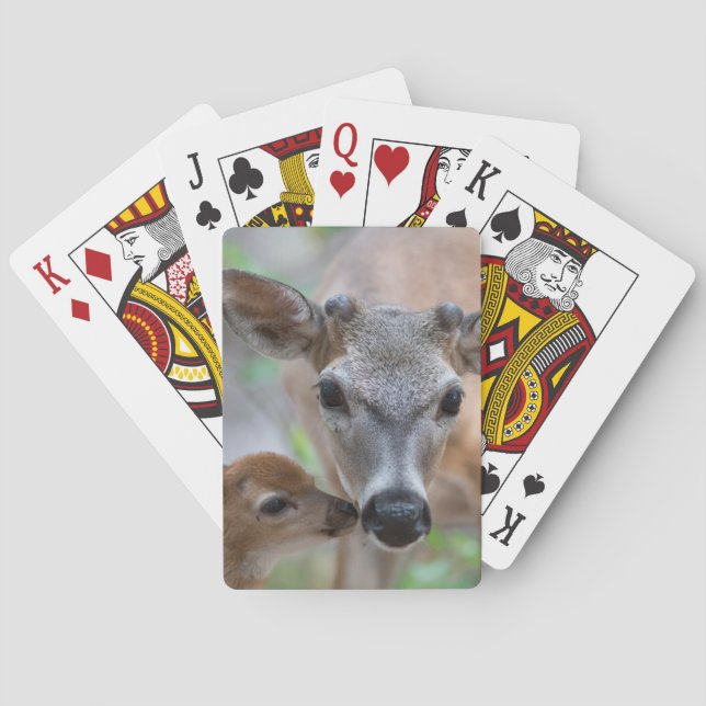 Niedliche Kleintiere | Key Deer Stag & Fawn Spielkarten (Rückseite)