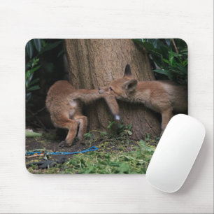 Niedliche Kleintiere Kinderfüchse spielen Mousepad