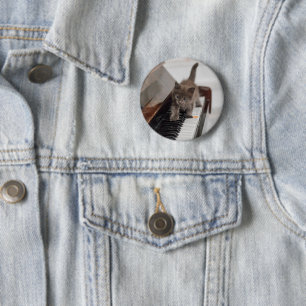 Niedliche Kleintiere   Kitten auf Piano Button