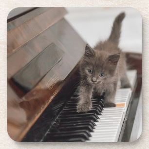 Niedliche Kleintiere   Kitten auf Piano Getränkeuntersetzer