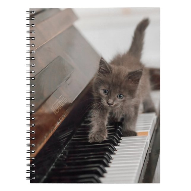 Niedliche Kleintiere | Kitten auf Piano Notizblock (Vorderseite)