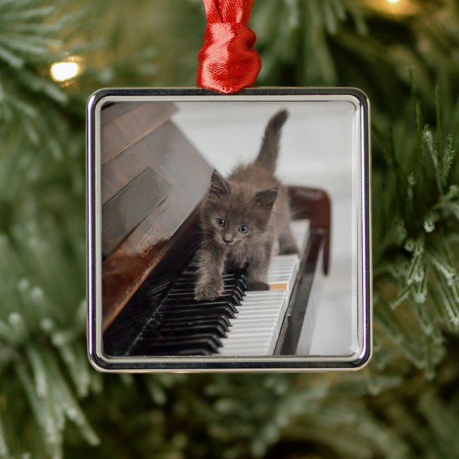 Niedliche Kleintiere | Kitten auf Piano Ornament Aus Metall (Baum)