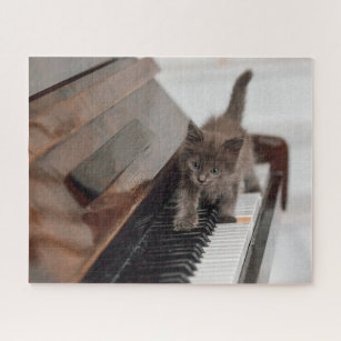 Niedliche Kleintiere   Kitten auf Piano Puzzle