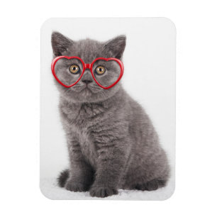 Niedliche Kleintiere Kitten Heart Glasses Magnet