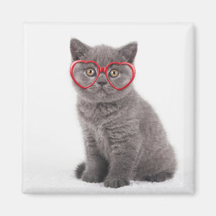 Niedliche Kleintiere Kitten Heart Glasses Magnet