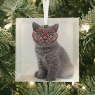 Niedliche Kleintiere   Kitten Heart Glasses Ornament Aus Glas