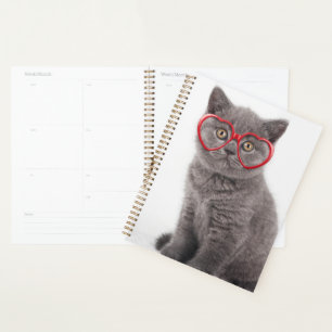 Niedliche Kleintiere   Kitten Heart Glasses Planer