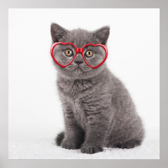Niedliche Kleintiere | Kitten Heart Glasses Poster (Vorne)