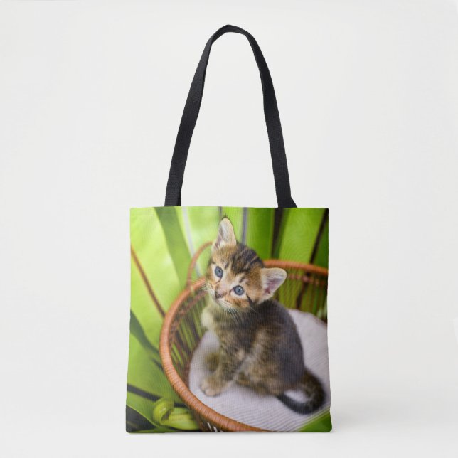 Niedliche Kleintiere | Kitten in Basket (Vorderseite)