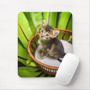 Niedliche Kleintiere Kitten in Basket Mousepad