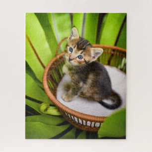Niedliche Kleintiere Kitten in Basket Puzzle