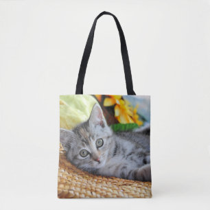 Niedliche Kleintiere Kitten Lounges