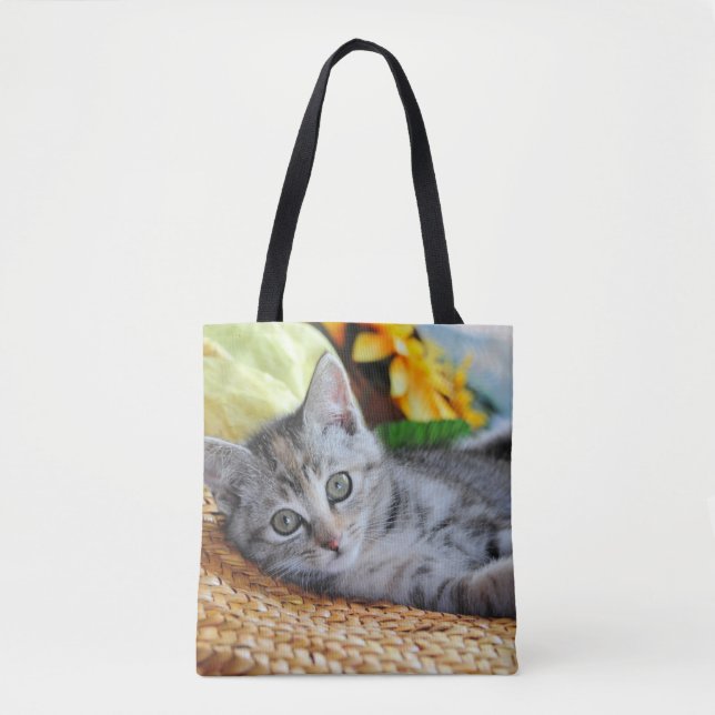 Niedliche Kleintiere | Kitten Lounges (Vorderseite)