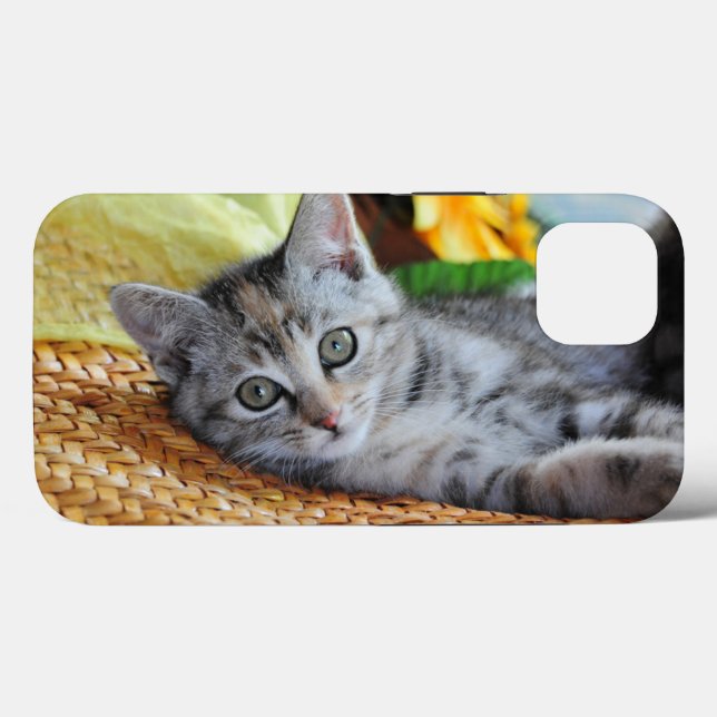 Niedliche Kleintiere | Kitten Lounges Case-Mate iPhone Hülle (Rückseite (Horizontal))