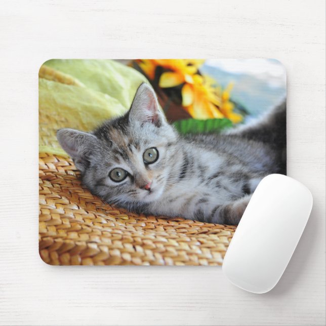 Niedliche Kleintiere | Kitten Lounges Mousepad (Mit Mouse)