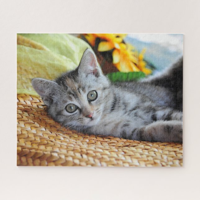 Niedliche Kleintiere | Kitten Lounges Puzzle (Horizontal)